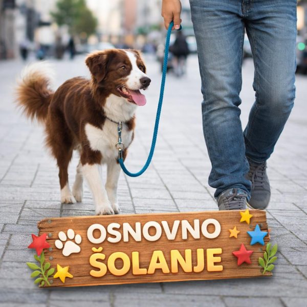 Tečaj osnovne šole