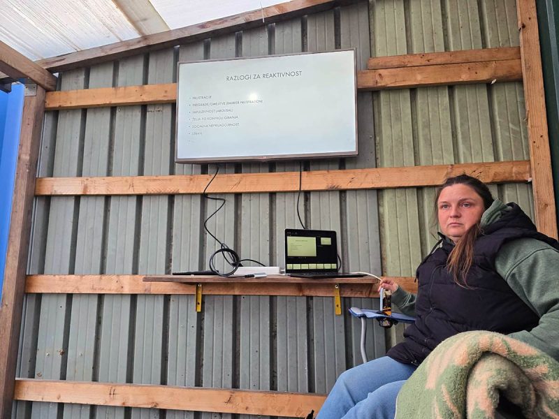 reaktivnost-pri-psih